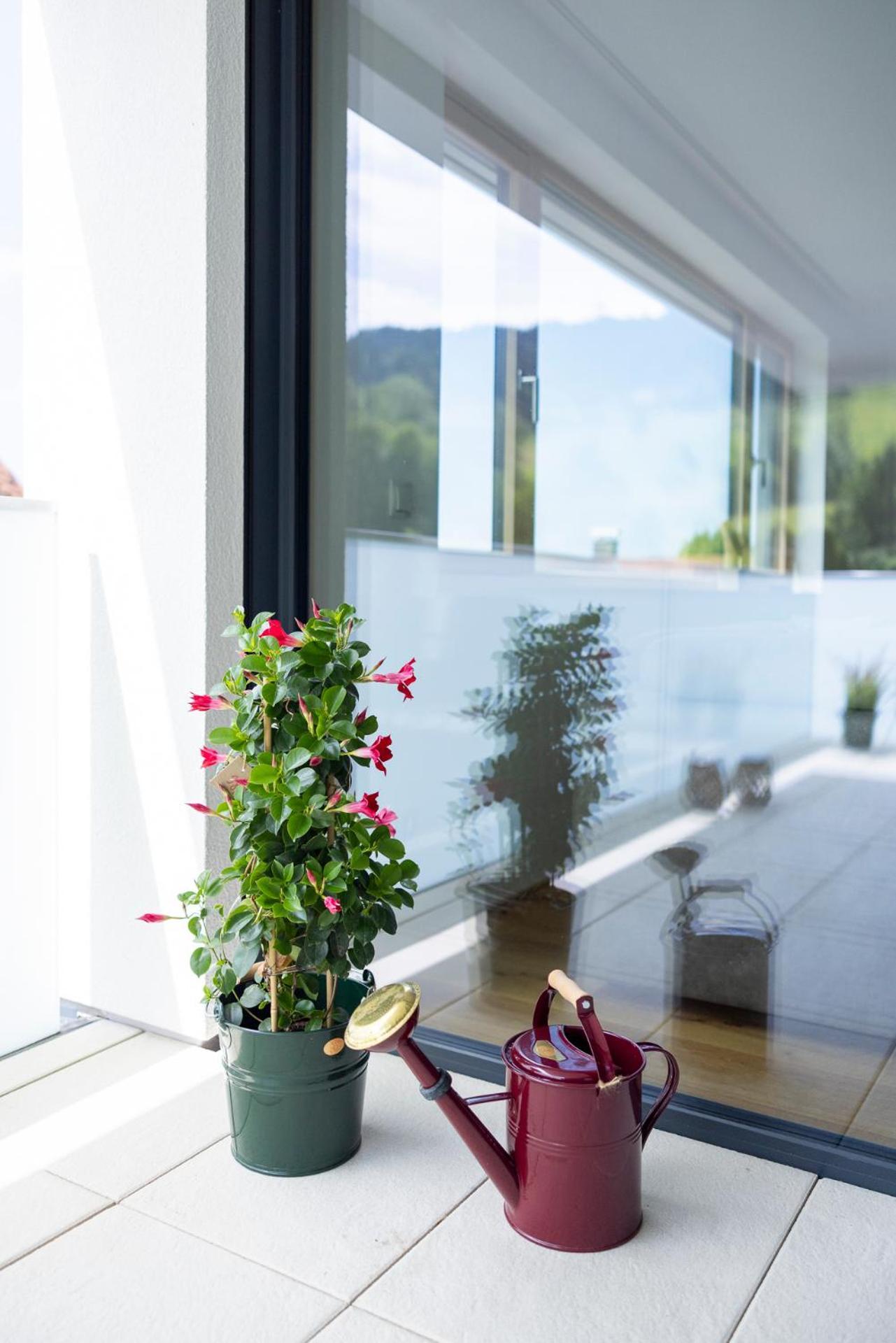 Bodensee Bergblick Suite 로하우 외부 사진